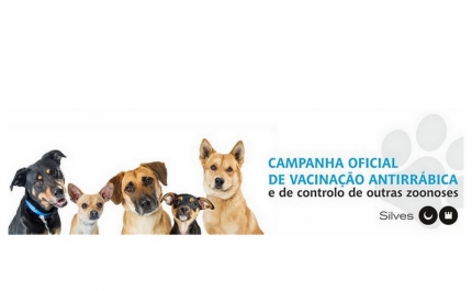 CAMPANHA OFICIAL DE VACINAÇÃO ANTIRRÁBICA 2024 ARRANCA, NAS FREGUESIAS DO CONCELHO, NO DIA 20 DE MAIO 