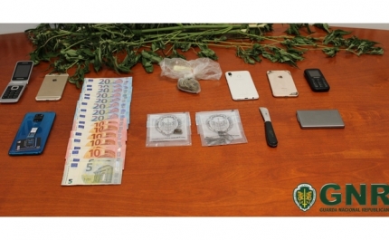 Montemor-o-Novo – Desmantelado esquema de burla e falsificação de documentos para obtenção ilícita de créditos