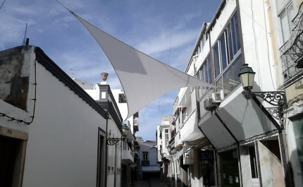 PARU JÁ COMEÇOU A REGENERAR A BAIXA