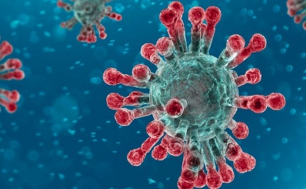 Covid-19: Número de infetados em Portugal sobe para 169