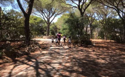 CHUA promove «Semana de Verão» para crianças acompanhadas no Centro de Desenvolvimento Pediátrico