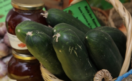 «Alimentação Saudável e Acessível»