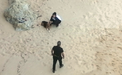 Autoridade Marítima Nacional auxilia cadela que sofreu uma queda numa arriba em Lagoa