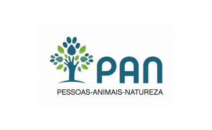 PAN | PORTO DE RECREIO DE FARO: CRIME ECOLÓGICO A CONCURSO PÚBLICO