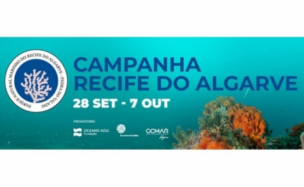 Expedição científica identificou 20 novas espécies para o Recife do Algarve