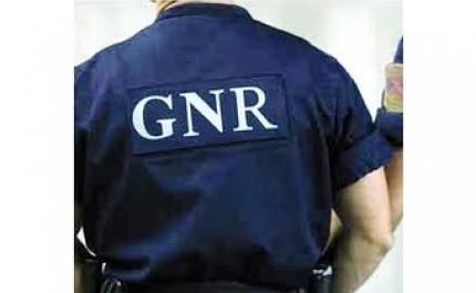 Três empresas ilegais e 26 infrações em operação de controlo de circulação de bens - GNR