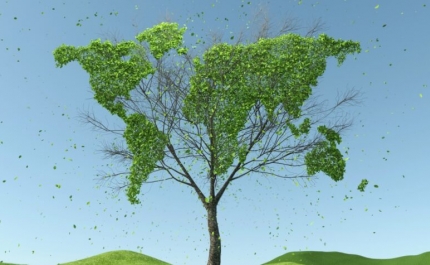 Sustentabilidade: A tendência que a pandemia veio acelerar também em Portugal
