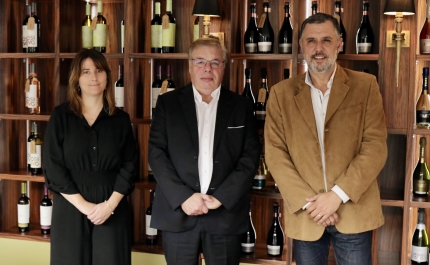 Melhores vinhos da Bairrada chegam ao Algarve pela Quatro Cravos