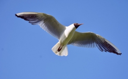 Maior evento de Natureza do ano começa esta semana