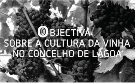 Apresentação do Livro «Objetiva Sobre a Cultura da Vinha no Concelho de Lagoa»