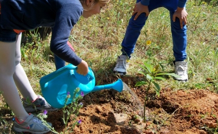 Plantações na Casa João Lúcio  para assinalar Dia Mundial da Árvore