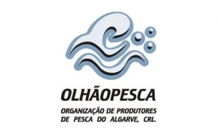 Armadores do cerco do Algarve ameaçam parar até definição de regras da venda do pescado