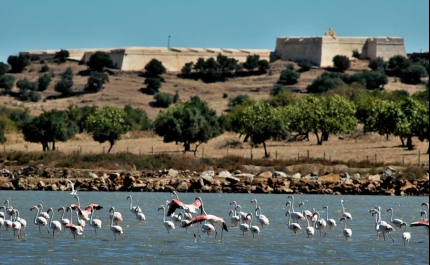 14 de abril: Dia Aberto da Reserva Natural do Sapal de Castro Marim e Vila Real de Santo António