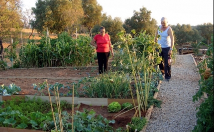 Candidaturas para talhões das Hortas Sociais de Loulé