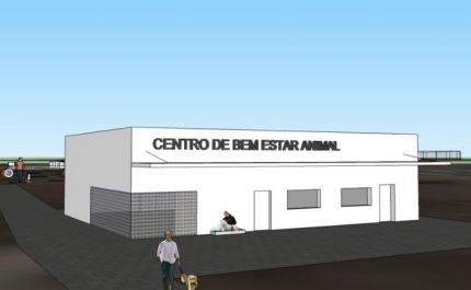 CENTRO DE BEM ESTAR ANIMAL DE ALBUFEIRA VAI ESTAR CONCLUÍDO ANTES DO FINAL DO ANO