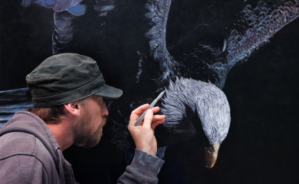 Exposição inédita de Mark Evans celebra 10 anos de Artcatto no Conrad Algarve