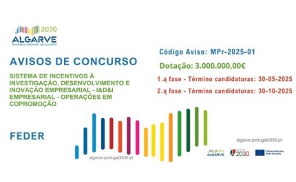 ALGARVE 2030 ABRE CONCURSO PARA APOIAR AÇÕES EM COPROMOÇÃO PARA INVESTIMENTO INTEGRADO EM INVESTIGAÇÃO, DESENVOLVIMENTO E INOVAÇÃO EMPRESARIAL (I&D&I)