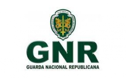GNR detém 204 pessoas por condução sob o efeito do álcool