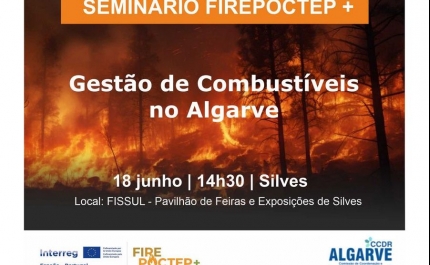 CCDR ALGARVE E AMAL PROMOVEM SEMINÁRIO SOBRE GESTÃO DE COMBUSTÍVEIS NO ALGARVE