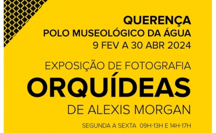Nova exposição no Polo Museológico da Água