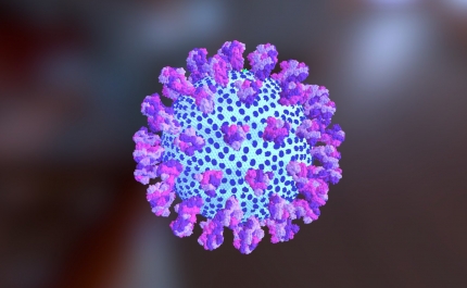 Covid-19: Algarve com 4.816 novos casos e 6 vítimas mortais entre 15 a 21 de março