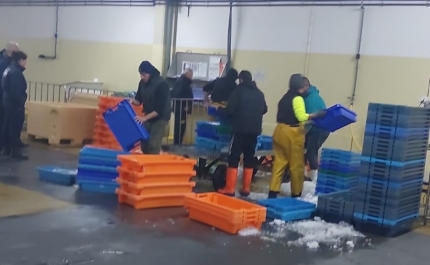 Polícia marítima apreende cerca de 600kg de pescado em Portimão