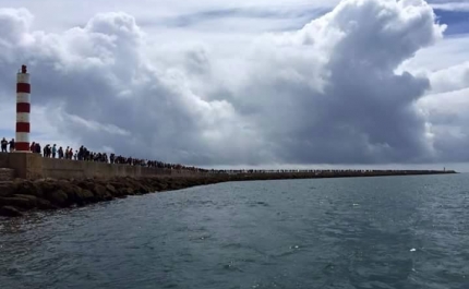 Cordão Humano | Ria Formosa (C/Video)