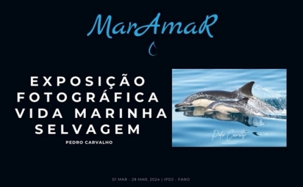 Exposição de Fotografia «MarAmaR», de Pedro Carvalho