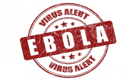 Funcionários do SEF e do Aeroporto de Faro recebem formação sobre vírus Ébola