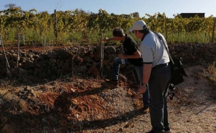 VISITA JORNALISTAS DA FIJEV À REGIÃO VITIVINÍCOLA DO ALGARVE