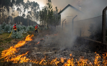 Incêndios: Fogo que começou em Faro e se estendeu a Loulé em fase de resolução [atualizada]