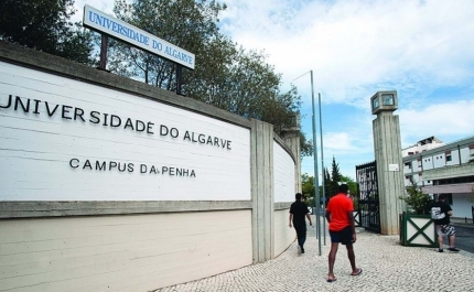 Universidade do Algarve vai premiar investigador que mais se destaque na sua área