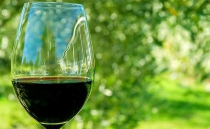 GOVERNO APOIA SETOR DO VINHO COM 65 MILHÕES DE EUROS