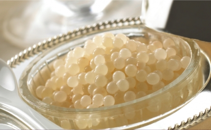 Caviar de caracol produzido no Algarve desafia chefes da alta cozinha