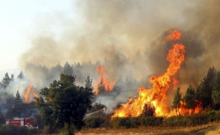 Incêndios: 16 concelhos do interior Norte e Centro e do Algarve em risco máximo
