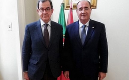 ANAIS DO MUNICÍPIO DE FARO TÊM UM NOVO DIRETOR