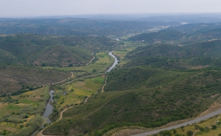 Caçadores em jornada de limpeza nas reservas de caça de Castro Marim
