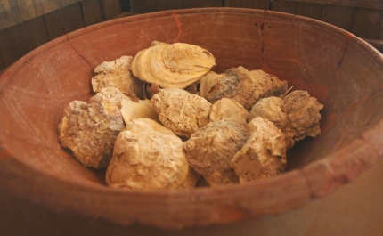 Demonstração culinária “Cascabulhos, conquilhas e berbigão”