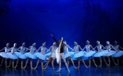 «O Lago dos Cisnes» fecha programação de novembro no Auditório Municipal
