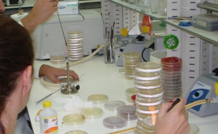 UALG REFORÇA OFERTA FORMATIVA COM LICENCIATURA EM ENGENHARIA ALIMENTAR