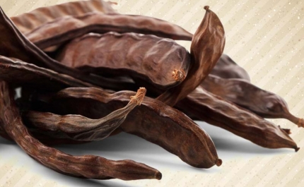 Produtores de alfarroba manifestam-se frente à Câmara Municipal de Loulé | 29 de julho 