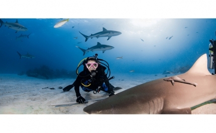 BIÓLOGA DA UALG MERGULHA COM ESPÉCIES AMEAÇADAS DE EXTINÇÃO EM NOVO PROGRAMA TELEVISIVO NO BRASIL