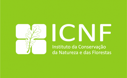 ICNF inicia comemoração com sementeira de sobreiros em Conceição de Tavira