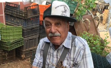 Encontrado corpo de homem numa ribeira em Mértola (ATUALIZADO)