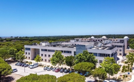 «Encontro Nacional de Estudantes de Sociologia 2024» realiza-se em Faro