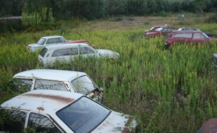 SESSÃO DE ESCLARECIMENTO SOBRE SERVIÇO DE GESTÃO DE VIATURAS ABANDONADAS NO CONCELHO DE LOULÉ