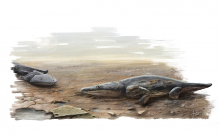 Loulé | Salir na rota dos dinossauros. (C/ Video)