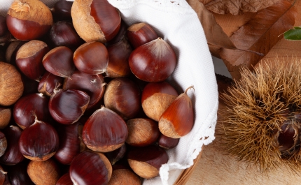 ALBUFEIRA CELEBRA O SÃO MARTINHO COM MAGUSTOS POR TODO O CONCELHO