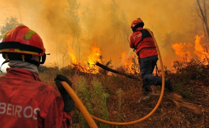 Incêndios: Época mais crítica começa terça-feira com mais bombeiros e meios aéreos