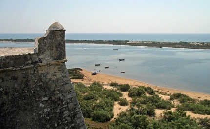 MAR SHOPPING ALGARVE PROMOVE 2ª EDIÇÃO  LIMPEZA DA RIA FORMOSA